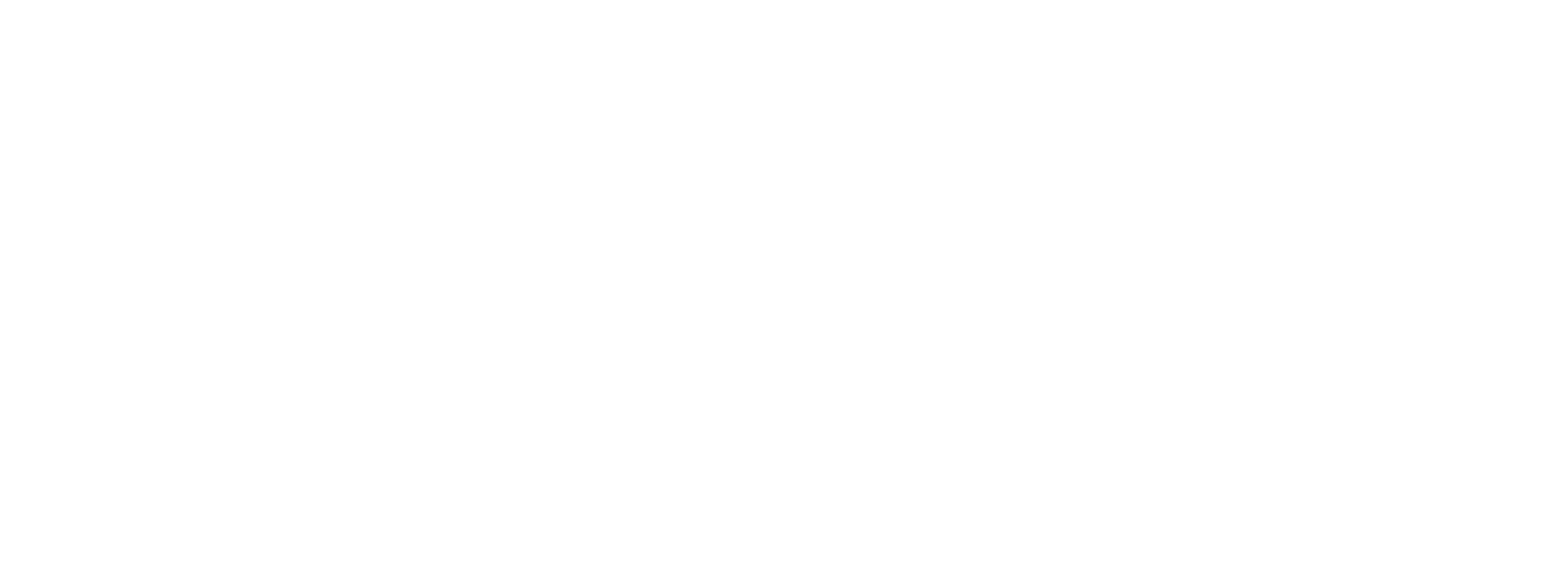 جوان پرچمدار